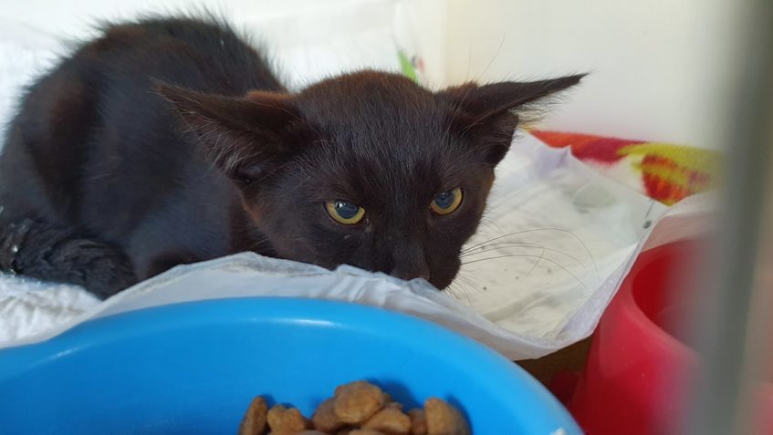 VČERA V NOCI PŘIJATÝ KLUK Z NÁDRAŽÍ...