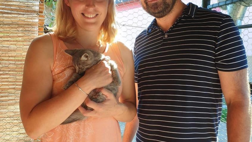 ZE SOBOTY ČEKAL NA RODIČE MALÝ KOCIÁNEK...