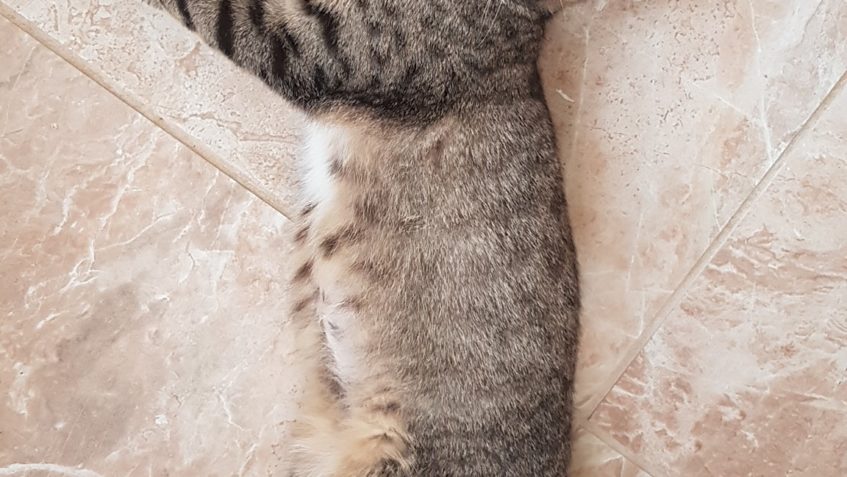 Zpravodajství do 1.7.2019...