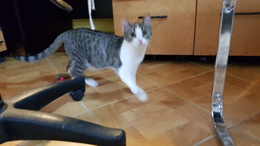 Zpravodajství do 17.7.2019...