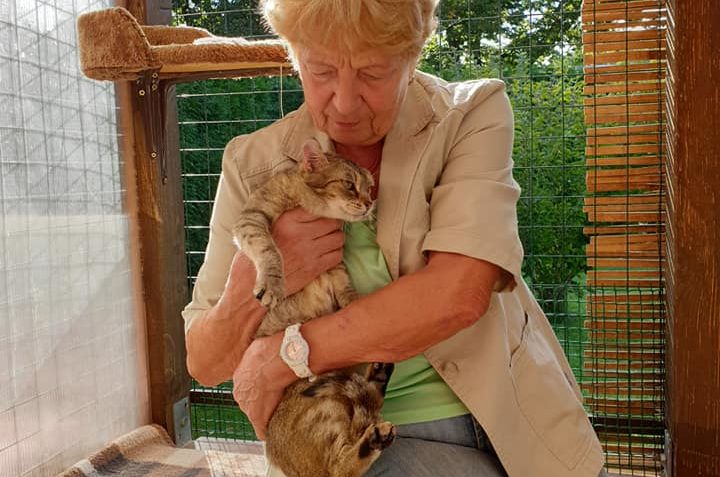 ADOPČNÍ STŘEDA...