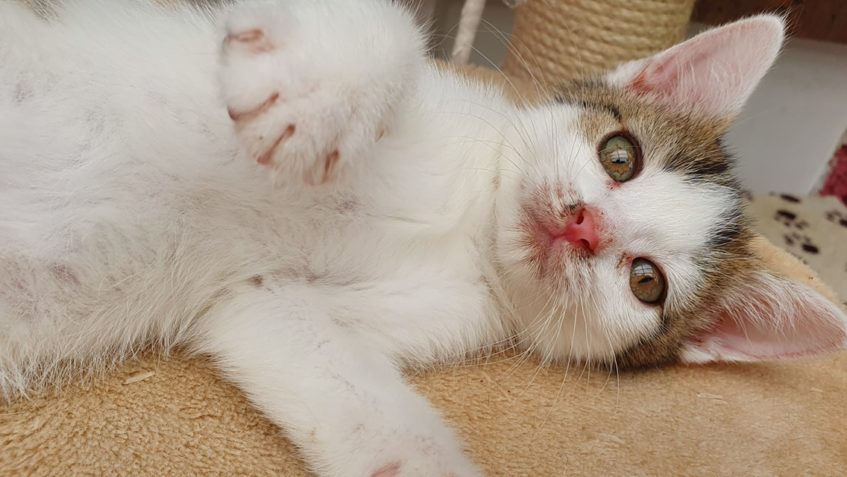 AKÁTEK SE MOC FOTIT NECHCE...