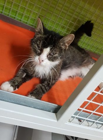 CUKI BYLA NA KONTROLE SVÉHO CHATRNÉHO ZDRAVÍ...