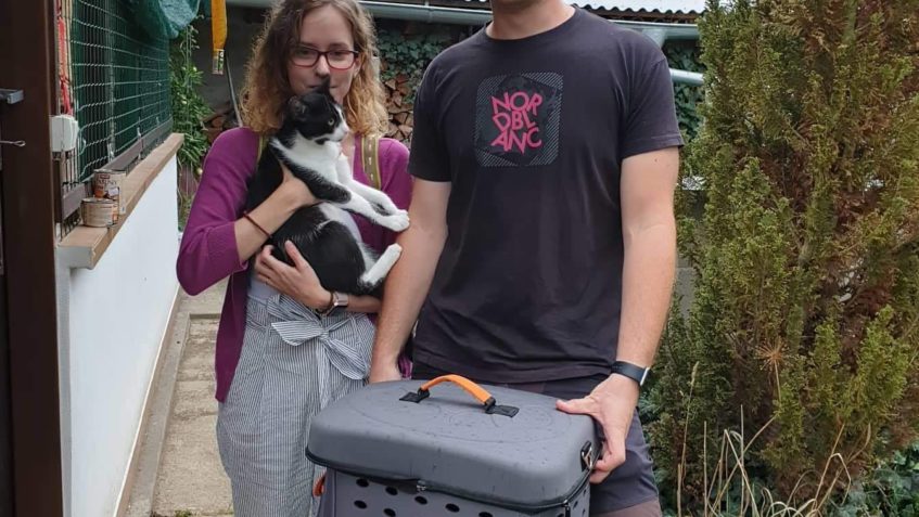 DALŠÍ KDO SI UŽ DNES VEČER UŽIJE ŘÁDĚNÍ V PEŘINACH  BUDE KOC...