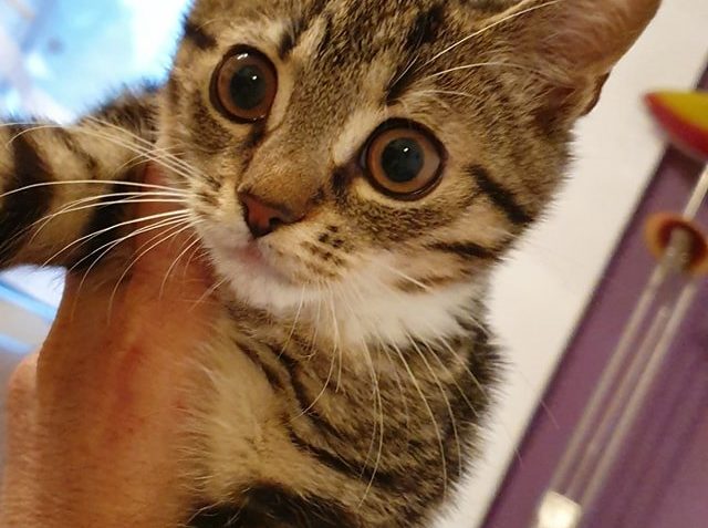 DO SLUNÍČKA SE VRÁTIL ZEUSEK...