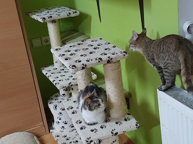 DOBROU NOC  VÁM VŠEM...