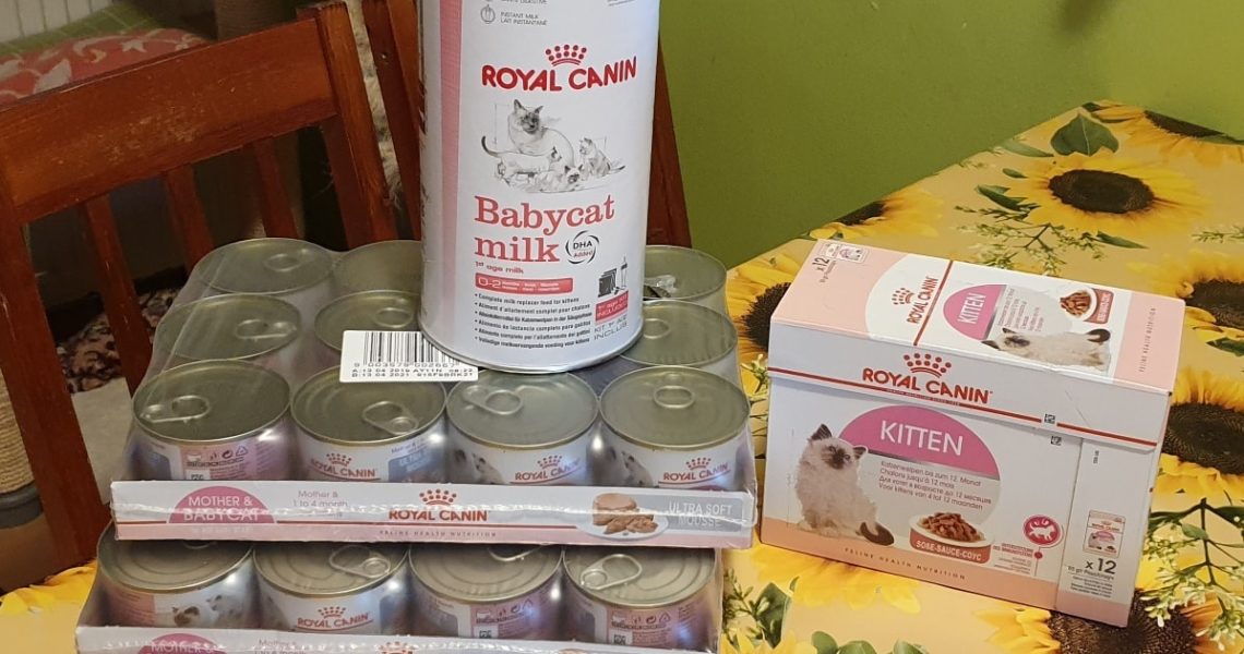 DĚKUJEME KOČIČÍ TETĚ  ALICI ZEMANOVE ZA ÚŽASNÉ A MOC POTŘEBN...