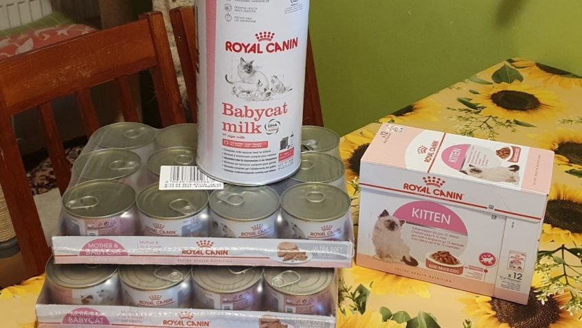 DĚKUJEME KOČIČÍ TETĚ  ALICI ZEMANOVE ZA ÚŽASNÉ A MOC POTŘEBN...