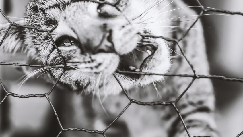 Děkujeme  Doksanská Daniela a Yellow World Media . Postupně ...