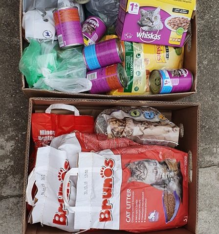 Děkujeme za dar pro kočičky od Tesco Letňany...