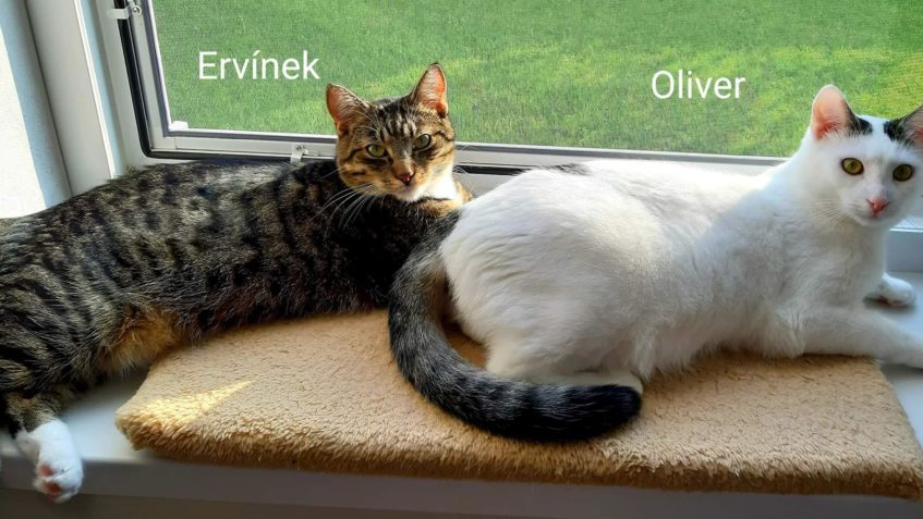 ERVÍNEK & OLIVER...