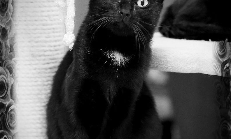 HUBIČKA JIŽ SPINKÁ...