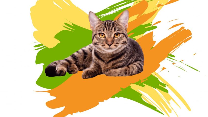 MOC SE NA VÁS TĚŠÍME...