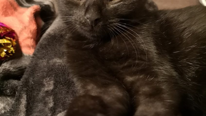 ORION ZDRAVÍ DO SLUNÍČKA...