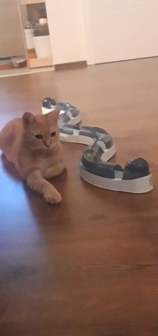 POZDRAV Z NOVÉHO DOMOVA , ZE ZÁMKU POSÍLÁ PRINCEZNA.  PRAVID...