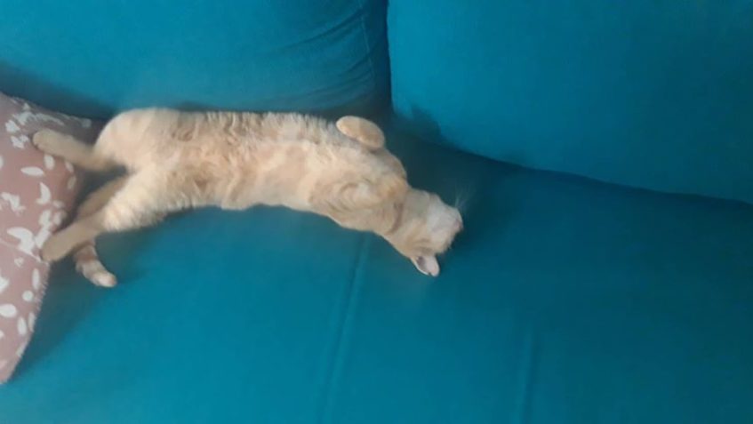 PRINCEZNA ZE ZÁMKU DNES MĚLA VSKUTKU VELMI NÁROČNÝ DEN ........