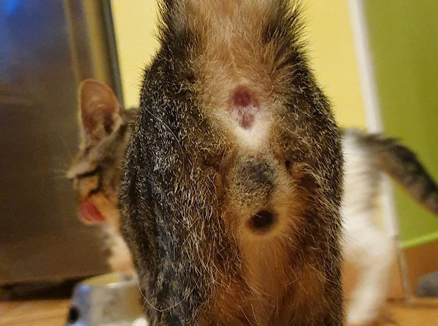 PRÝ UŽ MÁTE PŘESTAT ČUČET NA BEDNU  A JÍT VŠICHNI SPÁT . PRO...