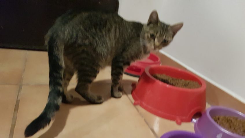 VELKÁ RODINA Z VRBICE...