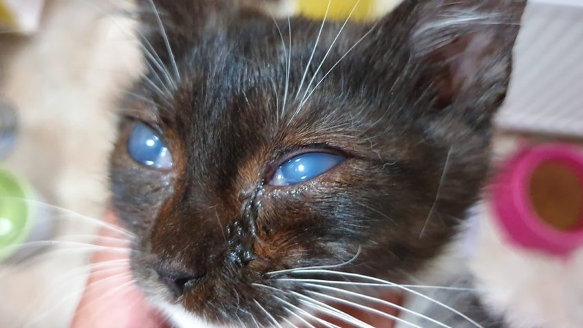 VINÝSEK ZLOBÍ A MÁME O NĚJ STRACH...