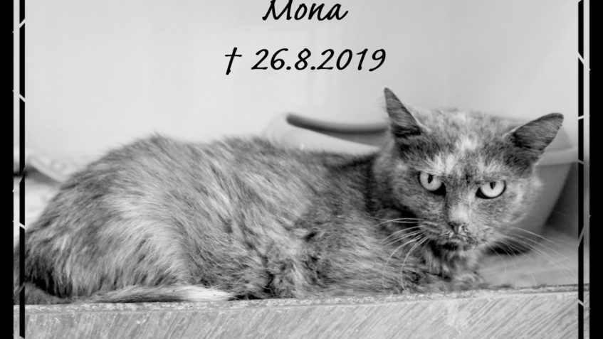 VZPOMEŇME NA MONU...