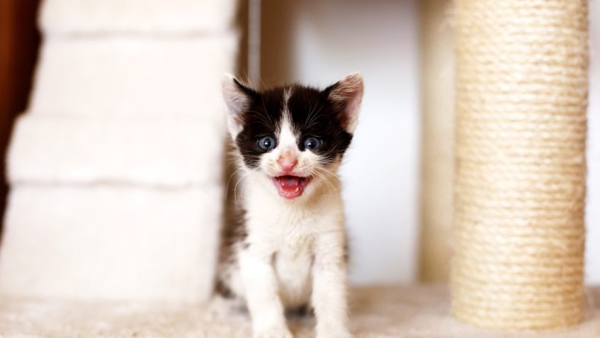 VČEREJŠÍ VELKÉ FOCENÍ SLUNÍČEK NATÁLKOU...