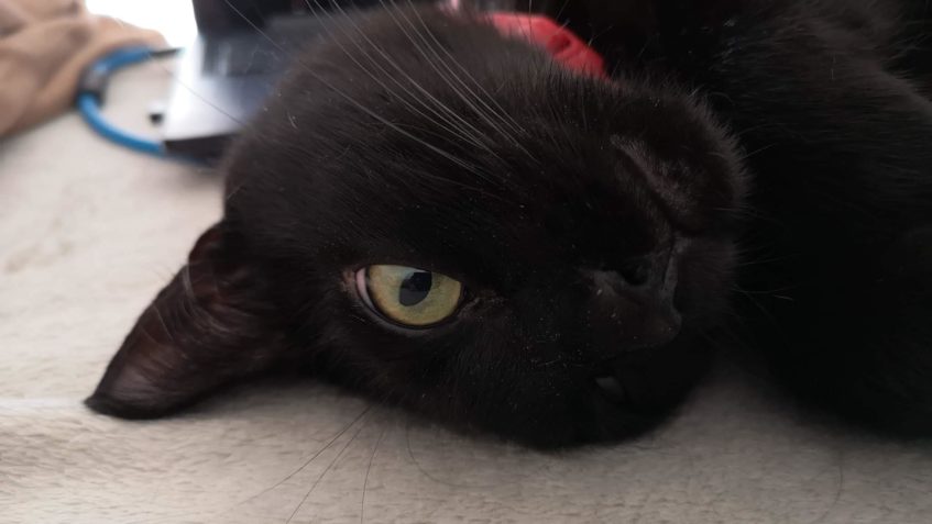 YASMÍNKA   - (Dádinka)...