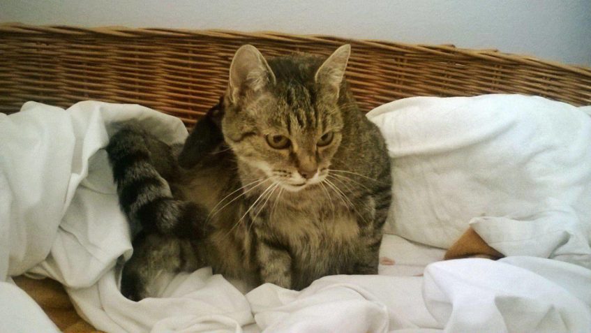 ZOUFALÁ PROSBA O POMOC!!!!...