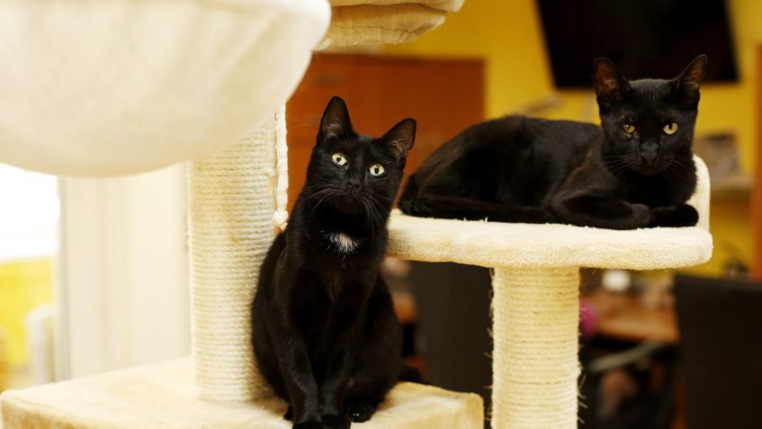 ZPRÁVA Z HOSPITALIZACE HUBIČKY...