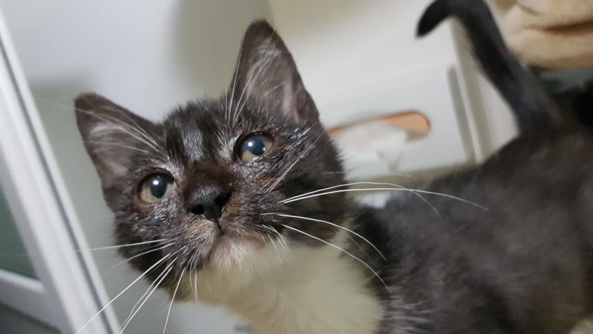 Zpravodajství z 19.8.2019...