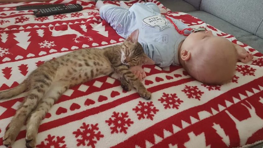 Zprávy z nového domova posíla Bagetka. Tahle kotěcí holčičk...