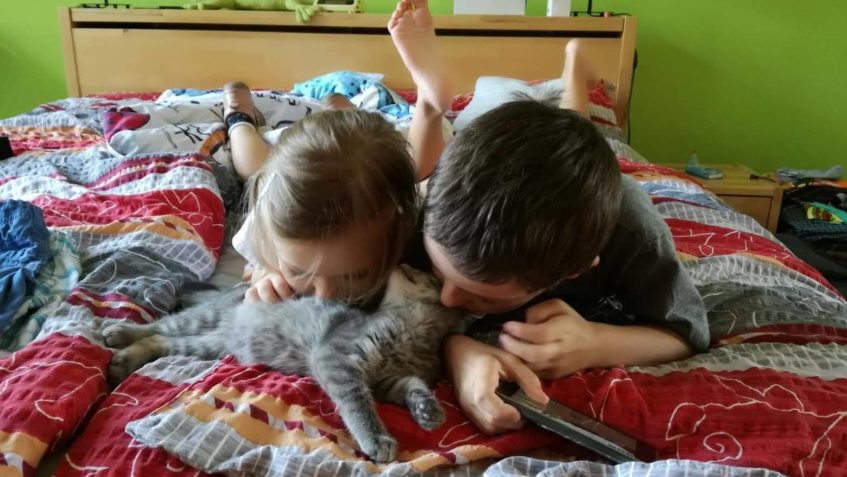 " ŠEDÍVÁK "  je opravdu mazel a nový domov má jako...