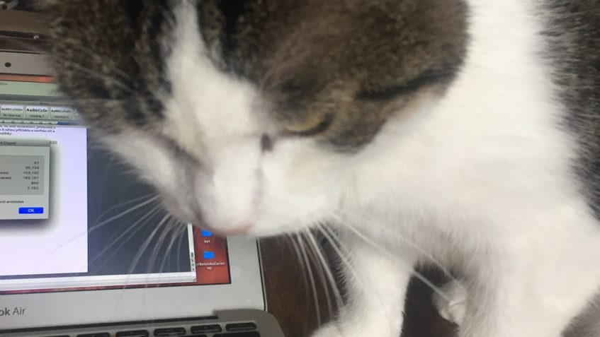 ÚŽASNÉ ZPRÁVY OD SIGI...