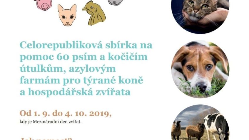 DEN ZVÍŘAT - celorepubliková sbírka pro všechna zvířátka a ...