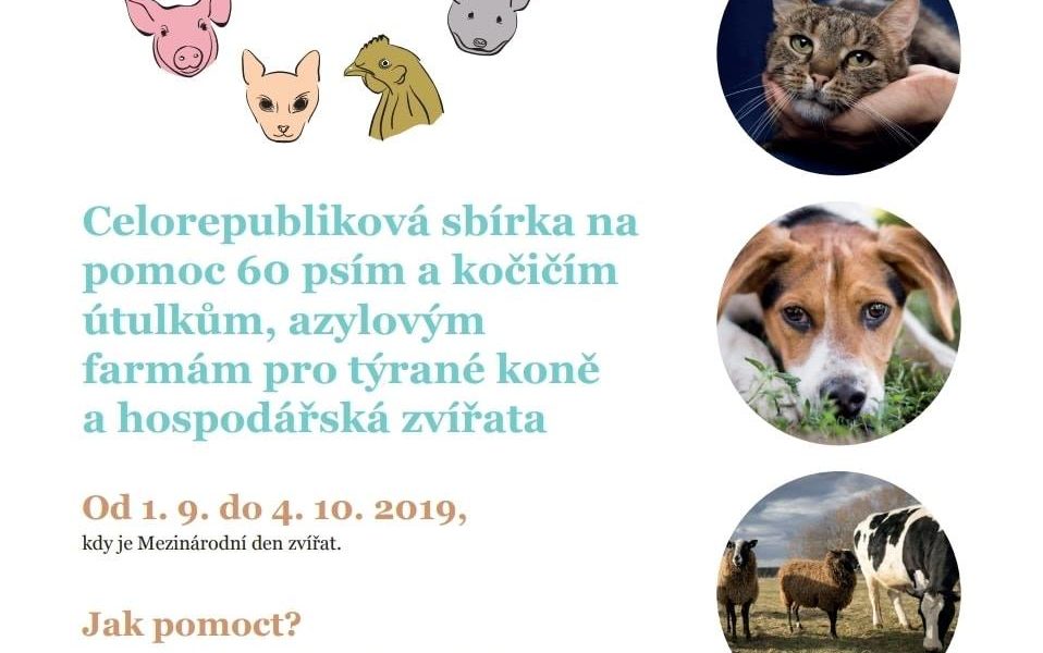 DEN ZVÍŘAT  - celorepubliková sbírka pro všechna zvířátka a ...