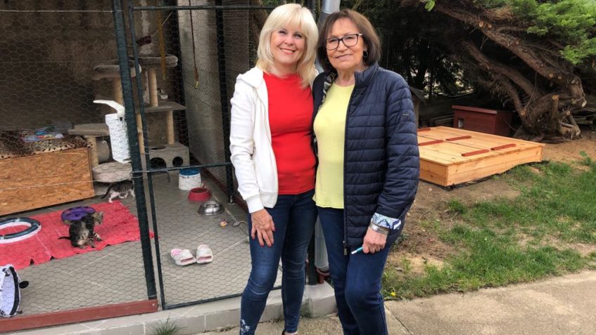 DNEŠNÍ NATÁČENÍ DO POŘADU CHCETE MĚ?...