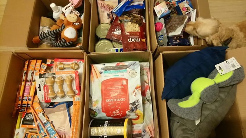 HLÁŠENÍ CHLUPÁČOVÉHO ROZHLASU!...