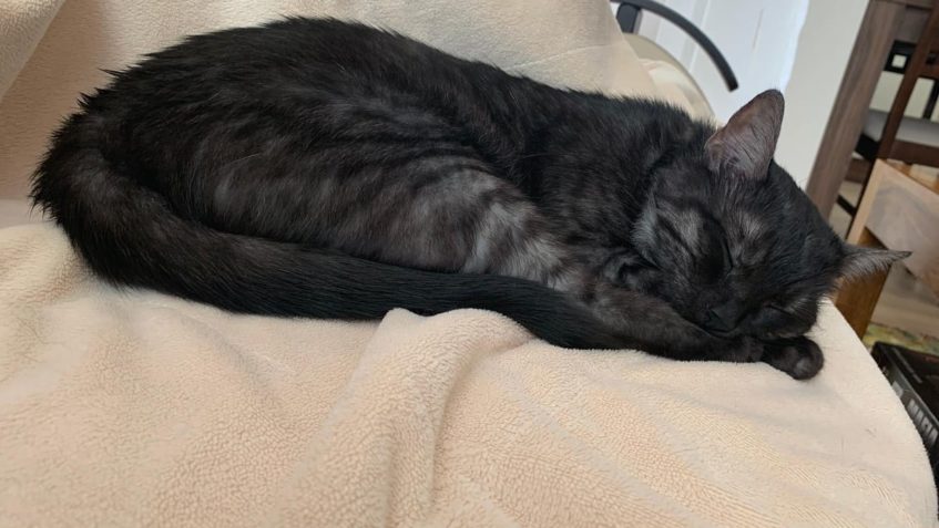 KOULIČKA ( Kulička)...