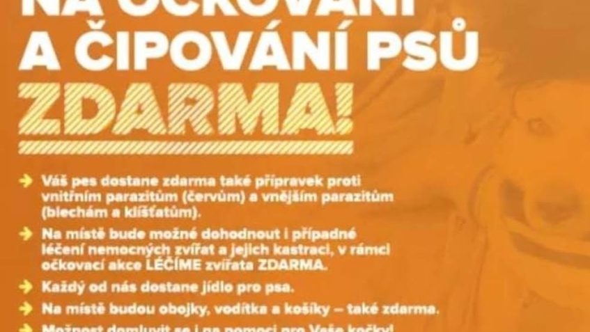 PŘIJĎTE PODPOŘITIDI BEZ DOMOVA  A JEJICH ZVÍŘECÍ MILÁČKY...