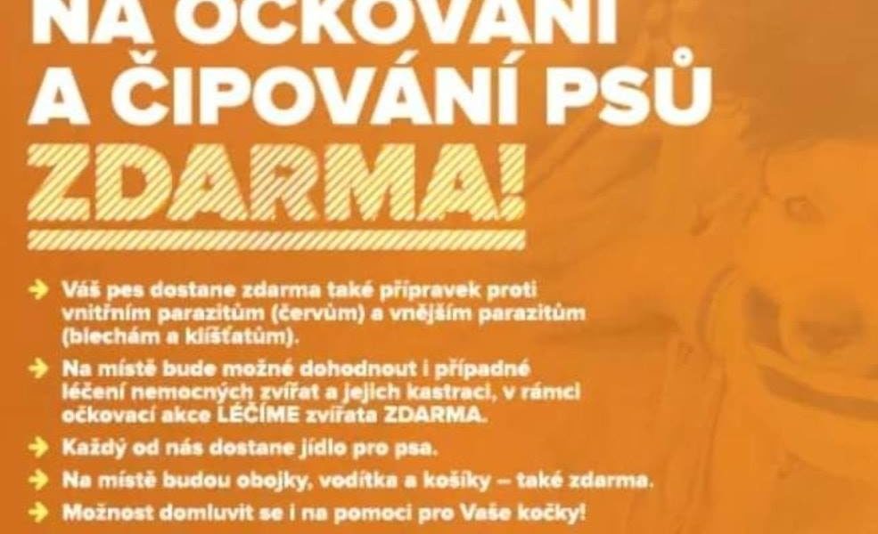PŘIJĎTE PODPOŘITIDI BEZ DOMOVA A JEJICH ZVÍŘECÍ MILÁČKY...