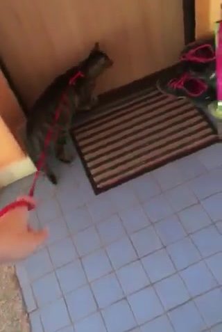 Sledovat HALINKA ( nyní Žofinka)