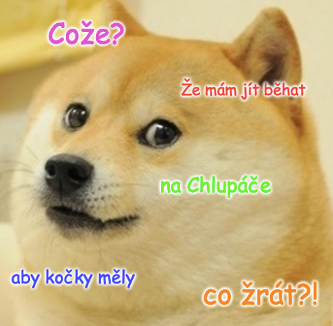 Tak co, už jste se přihlásili? Chlupáči všech zemí, spojte s...