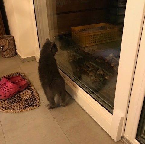 VANDRÁK NYNÍ GARP...