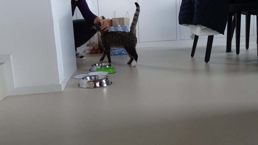 BRATŘÍČEK ( Kulíšek)...