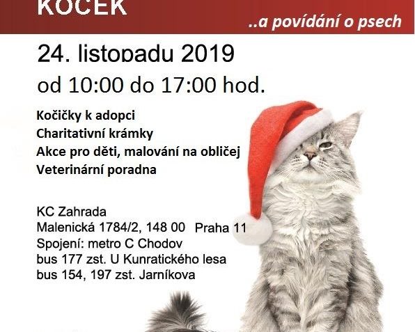 BUDE TAM I SLUNÍČKO S KOČKAMI A KRÁMKEMZapište si do kalendá...