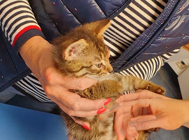 DNES KONTROLA NA KLINICE...