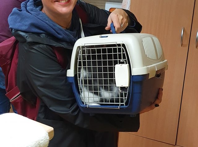 DNES ODEŠEL DO NOVÉHO DOMOVĚ ÚŽASNÝ VÁŇA (alias Vasyl či Iva...