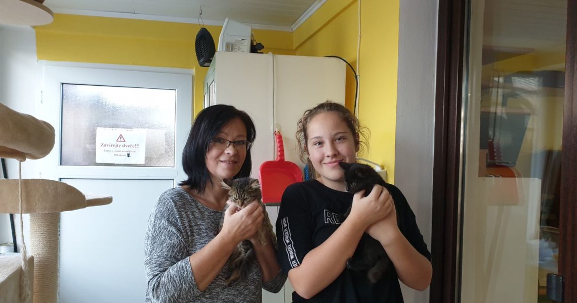 DNES ODEŠLI DO NOVÉHO DOMOVA SOUROZENCI ATARI A AMIGA...