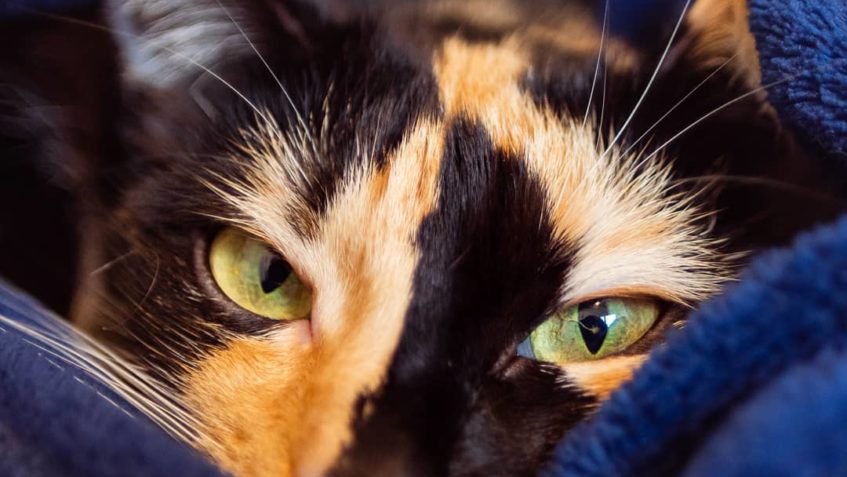 Instagram Post by Charlie • October  6, 2019 at 05:58PM CEST