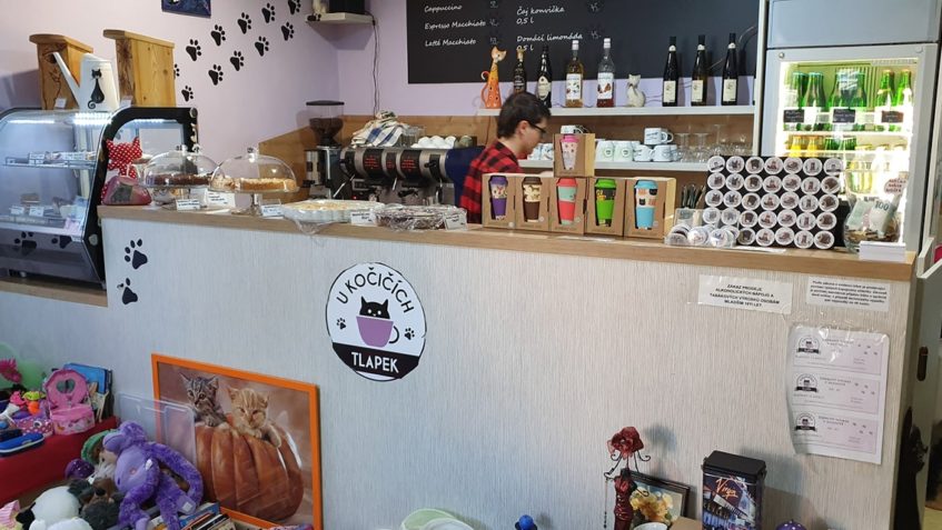 JEŠTĚ MÁTE CHVÍLI NA TO SE ZASTAVIT...