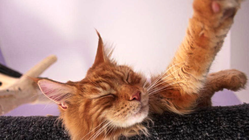 MALÉ OHLÉDNUTÍ...